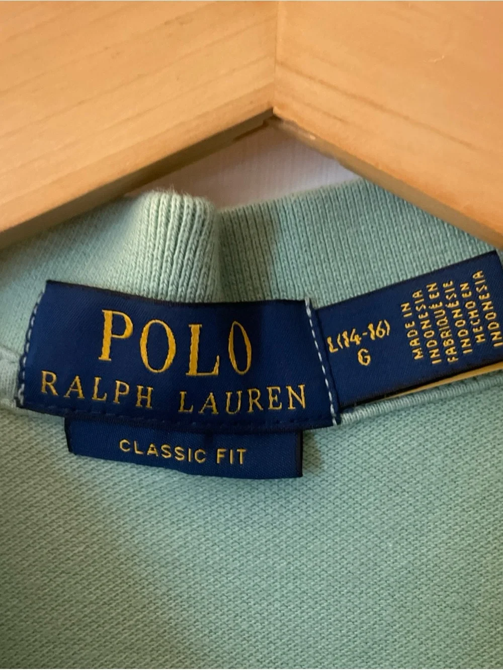 Polo Ralph Lauren Boys Classic Fit Polo Shirt Mint Green Size L (14-16)